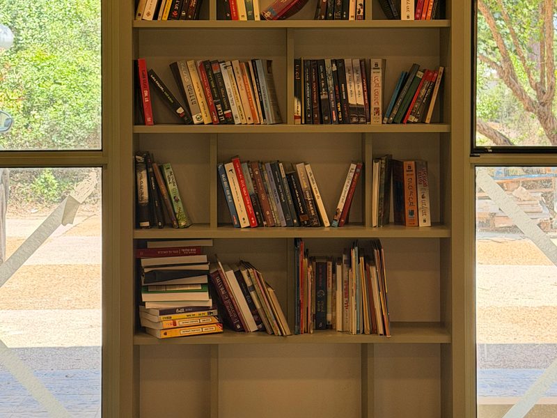 Bookcase between two windows